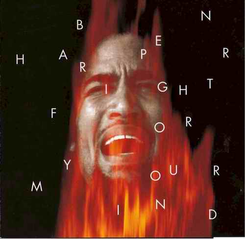 Ben Harper - Fight For Your Mind  (1995)